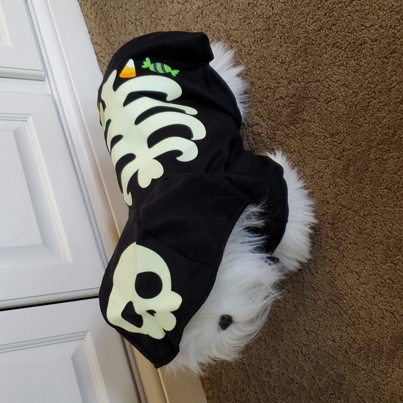 Dog Halloween Costume - Glow in the Dark Skeleton Hoodie Size Small Med Lar NWT - Picture 3 of 3